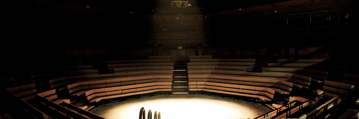 Empty Young Vic auditorium - image by Philip Vile