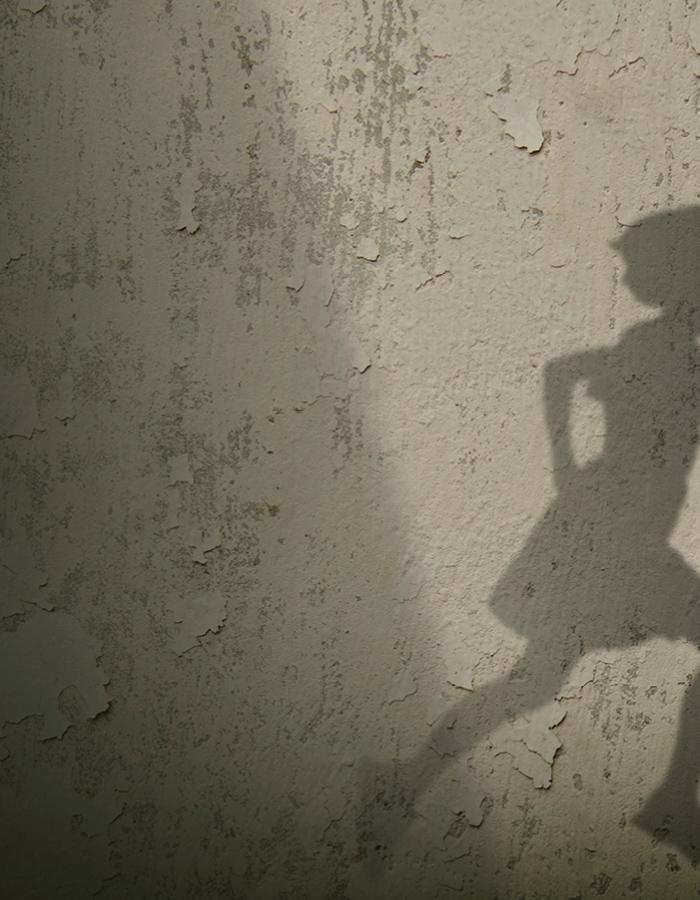 Chasing Hares. From 16th July to 13th August 2022. Image description:The shadow of a girl running off the edge of the image is on a grey wall with peeling paint. On the left side is the title Chasing Hares in white capitals. 